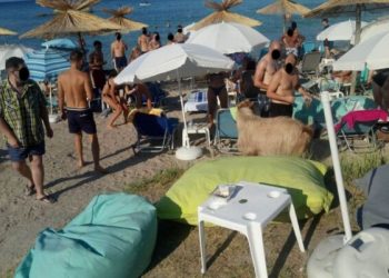 Είδη πρώτης ανάγκης για τους πυρόπληκτους συγκεντρώνει καθημερινά η Περιφέρεια Θεσσαλίας