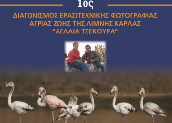 Διαγωνισμός ερασιτεχνικής φωτογραφίας άγριας ζωής της  λίμνης Κάρλα  «Αγλαΐα Τσεκούρα» με την αρωγή της Περιφέρειας Θεσσαλίας