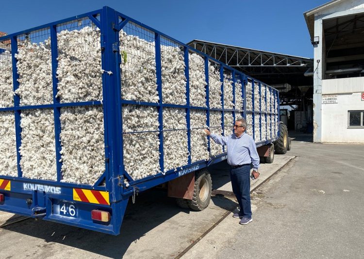 Ξεκίνησε πρώτη τις παραλαβές βαμβακιού η Ένωση Τρικάλων