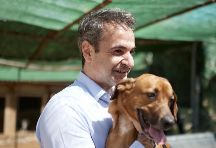 Ζώα συντροφιάς: Τι προβλέπει ο νέος νόμος για την προστασία τους και τις υποχρεώσεις των ιδιοκτητών