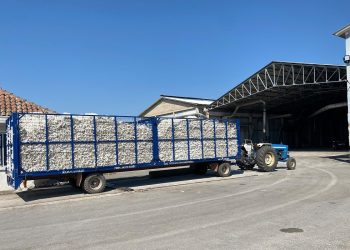 Κανονικά οι παραλαβές και η εκκόκκιση βαμβακιού – Κατασβέστηκε η φωτιά  στο εκκοκκιστήριο της ΕΑΣ Τρικάλων