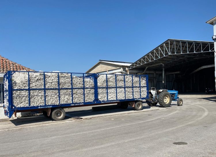 Κανονικά οι παραλαβές και η εκκόκκιση βαμβακιού – Κατασβέστηκε η φωτιά  στο εκκοκκιστήριο της ΕΑΣ Τρικάλων