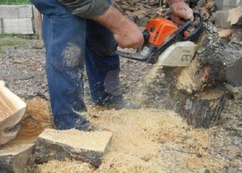 Νεκρός 52χρονος Τρικαλινός – Ένιωσε αδιαθεσία την ώρα που έκοβε ξύλα και κατέρρευσε