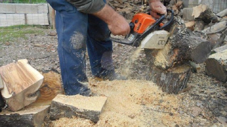 Νεκρός 52χρονος Τρικαλινός – Ένιωσε αδιαθεσία την ώρα που έκοβε ξύλα και κατέρρευσε