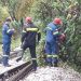 Τρίκαλα: Πτώση δένδρου εγκλώβισε 100 τουρίστες σε τρένο για την Καλαμπάκα!
