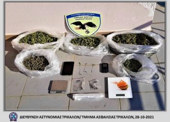 Δύο συλλήψεις στα Τρίκαλα –  Κατασχέθηκαν 1.949γρ. κάνναβης, 3 δενδρύλλια κάνναβης και Ι.Χ.Ε. αυτοκίνητο