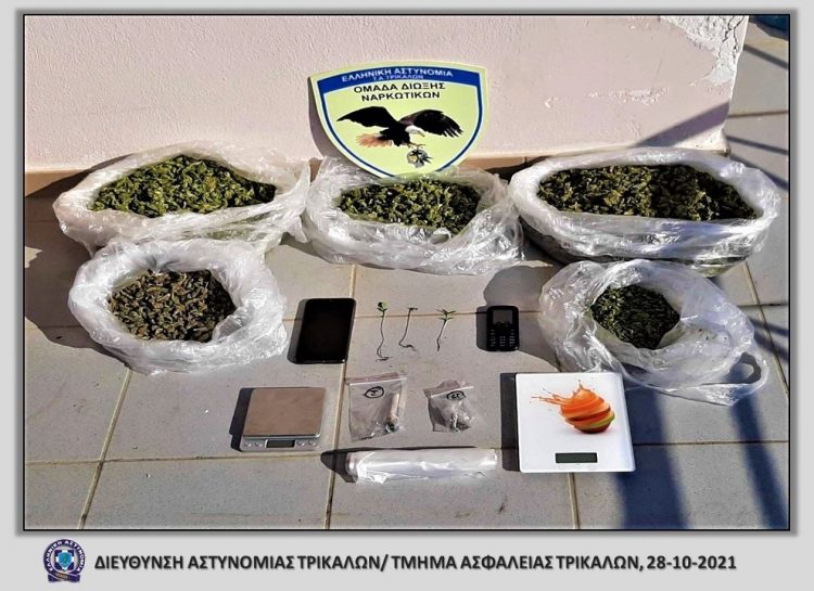 Δύο συλλήψεις στα Τρίκαλα –  Κατασχέθηκαν 1.949γρ. κάνναβης, 3 δενδρύλλια κάνναβης και Ι.Χ.Ε. αυτοκίνητο