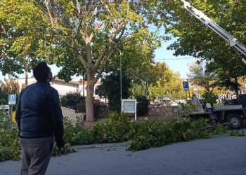 Το φαινόμενο… Βαγγέλης Κοσμάς