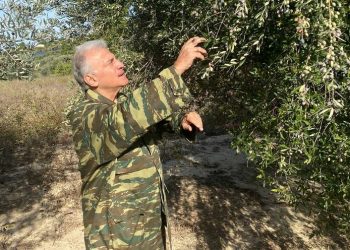 Ο «Ζορό» μπαίνει στη «Φάρμα»