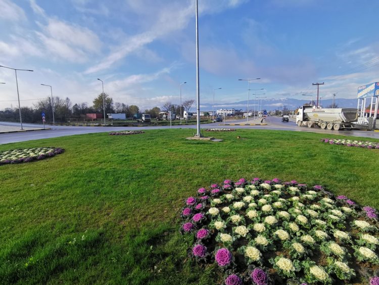 Λουλουδάτοι και φροντισμένοι οι κόμβοι στα Τρίκαλα