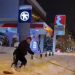 Άφησε «μύθια»  Ελασσονίτης νεαρός στο κέντρο της Αθήνας
