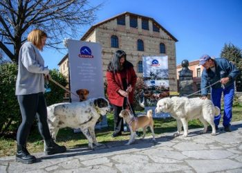 Χορηγική μέριμνα της ΟΛΥΜΠΟΣ στα αδέσποτα των Τρικάλων