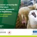 Συμβουλευτική υποστήριξη για τους κτηνοτρόφους της Θεσσαλίας