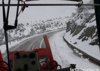 Κέρδισε τη μάχη με τον «Φίλιππο» ο Αντιδήμαρχος  Βαγγέλης Κοσμάς! Επί ποδός ο μηχανισμός του Δήμου