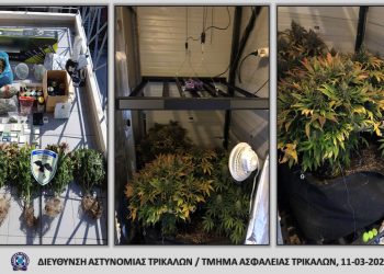 Εντοπίστηκε πλήρως εξοπλισμένο εργαστήριο υδροπονικής καλλιέργειας κάνναβης στα Τρίκαλα