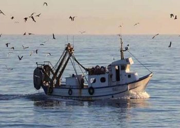 Πρόγραμμα πειραματικής αλιείας στον Παγασητικό κόλπο με χρηματοδότηση από την Περιφέρεια Θεσσαλίας
