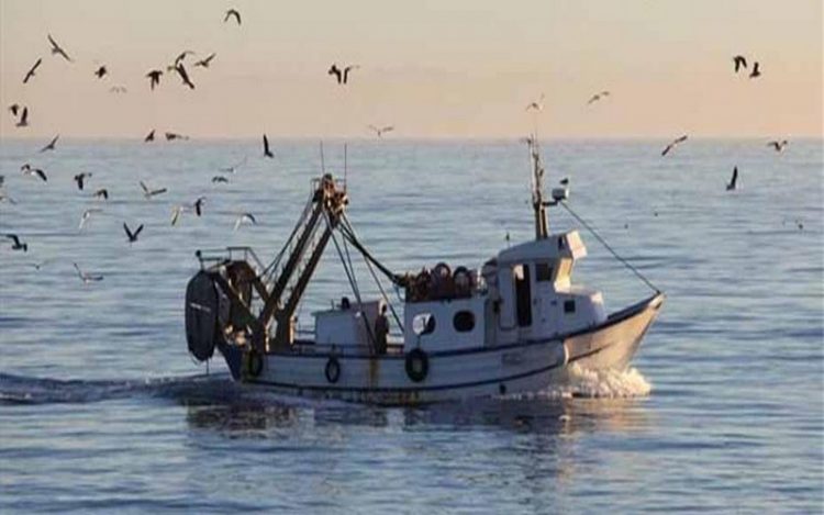 Πρόγραμμα πειραματικής αλιείας στον Παγασητικό κόλπο με χρηματοδότηση από την Περιφέρεια Θεσσαλίας