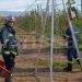 Κινηματογραφική διάσωση σκύλου από Πυροσβέστες στον Τύρναβο που έπεσε σε πηγάδι