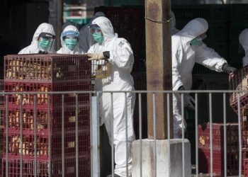 Κίνα: Πρώτο κρούσμα γρίπης των πτηνών H3N8 σε άνθρωπο