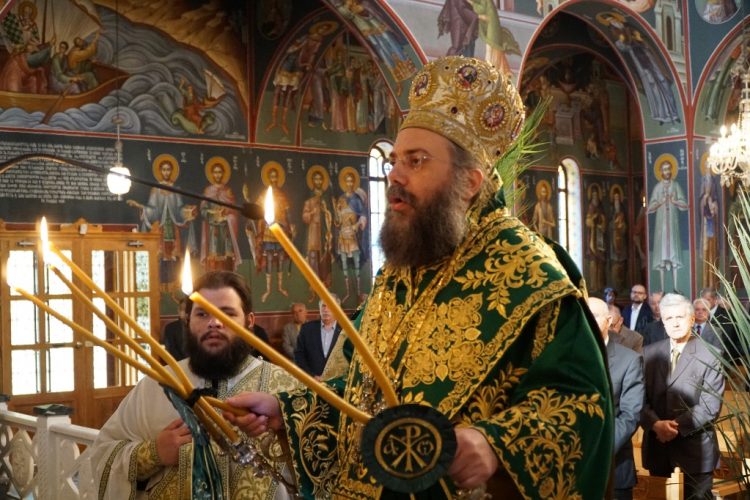 Ἐπί τῇ Βαϊοφόρῳ Εἰσόδῳ τοῦ Κυρίου |  ΠΟΙΜΑΝΤΟΡΙΚΗ ΕΓΚΥΚΛΙΟΣ