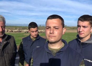 Έσφαξαν επί τόπου και έκλεψαν 60 αρνιά από μαντρί