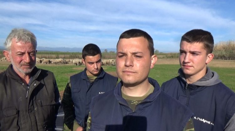 Έσφαξαν επί τόπου και έκλεψαν 60 αρνιά από μαντρί