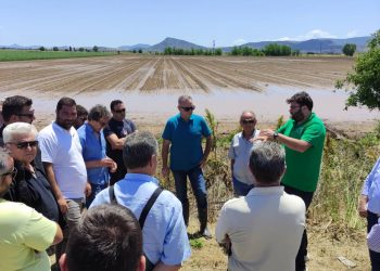 Ζημιές σε 7.500 καλλιεργούμενα στρέμματα από το χθεσινό χαλάζι στο δήμο Φαρσάλων