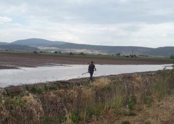 Ζημιές σε 7.500 καλλιεργούμενα στρέμματα από το χθεσινό χαλάζι στο δήμο Φαρσάλων