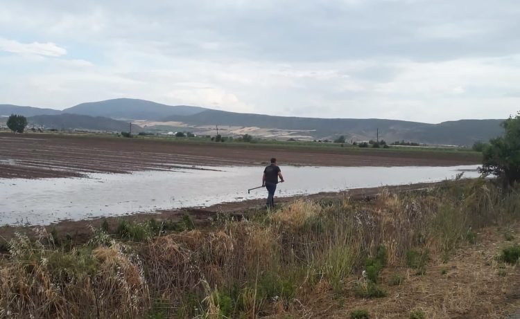 Ζημιές σε 7.500 καλλιεργούμενα στρέμματα από το χθεσινό χαλάζι στο δήμο Φαρσάλων