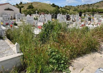 Άκοπα χόρτα «πνίγουν» τον Δήμο Φαρκαδόνας