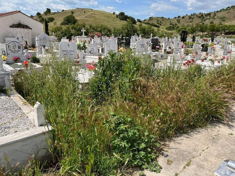 Άκοπα χόρτα «πνίγουν» τον Δήμο Φαρκαδόνας