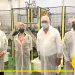 Σταθερή η εμπιστοσύνη της βιομηχανίας στο φυσικό αέριο