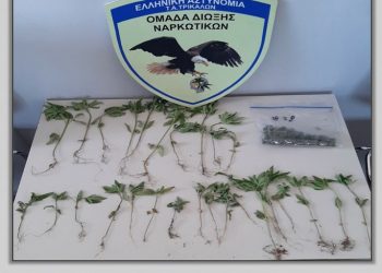 Νέα σύλληψη για ναρκωτικά  στον Δήμο Φαρκαδόνας