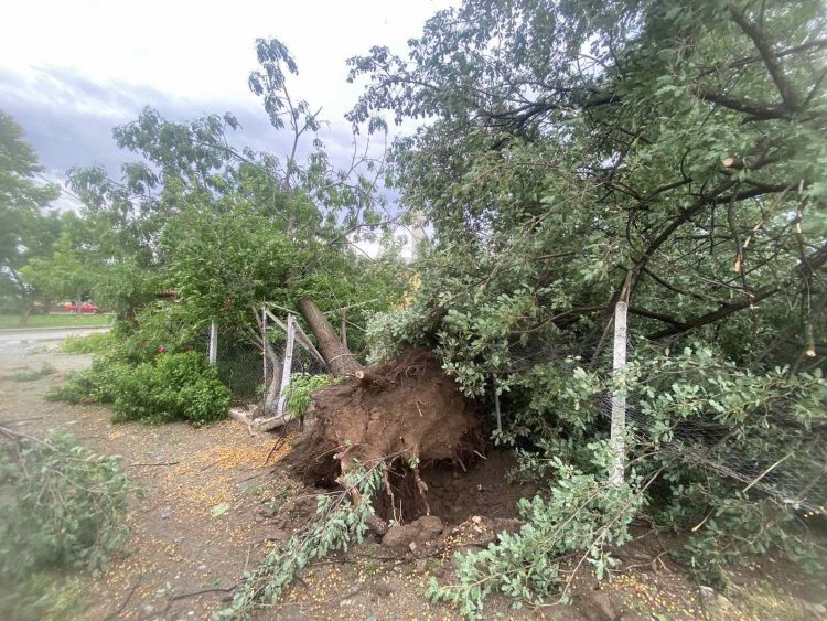 Βιβλική η καταστροφή από την χθεσινή χαλαζόπτωση και την ανεμοθύελλα στην Λάρισα
