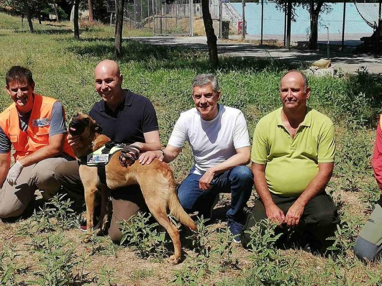 Τη δημιουργία Παγκόσμιου Γεωπάρκου UNESCO στα Μετέωρα δρομολογούν Υπουργείο Περιβάλλοντος και Περιφέρεια Θεσσαλίας