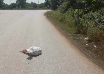 Πέταξαν ψόφιο πρόβατο στο δρόμο!