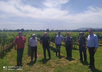 Δίπλα στους χαλαζόπληκτους παραγωγούς ο Αντιπεριφερειάρχης Τρικάλων Χρήστος Μιχαλάκης