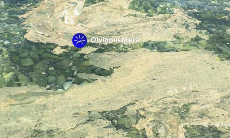 Πιερία: Γέμισε λύματα η παραλία λόγω προβλημάτων στον βιολογικό σταθμό (ΒΙΝΤΕΟ)