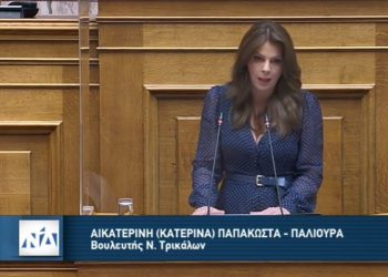 Η  Παπακώστα από το βήμα της Βουλής για το γενναίο άλμα στην νέα ψηφιακή εποχή