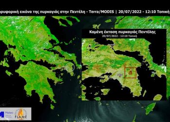 Πυρκαγιές: Κάηκαν πάνω από 20.000 στρέμματα στην Πεντέλη