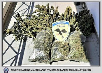 Η αστυνομία μπούκαρε σε σπίτι στα Τρίκαλα και βρήκε το κρυμμένο χασίς