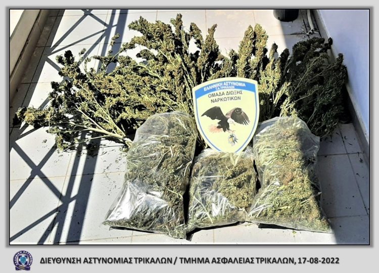 Η αστυνομία μπούκαρε σε σπίτι στα Τρίκαλα και βρήκε το κρυμμένο χασίς