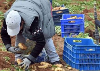 Περιφέρεια Θεσσαλίας: Αυξάνονται οι άδειες διαμονής για εποχική εργασία και εξαρτημένη εργασία