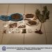 Συνελήφθησαν 4 άτομα για ναρκωτικά