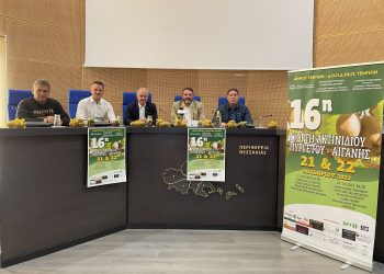 16η Γιορτή Ακτινιδίου στις 21 και 22 Οκτωβρίου σε Αιγάνη και Πυργετό