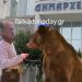 Δήμος Φαρκαδόνας… ένα τσίρκο…