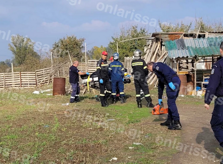 Δέντρο καταπλάκωσε και σκότωσε 78χρονη Λαρισαία