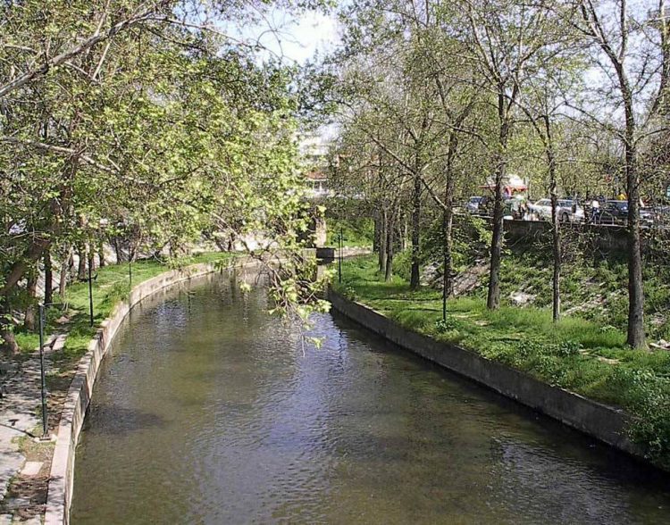 Ταχείες διαδικασίες για τα 1.300 δέντρα στους ποταμούς Ληθαίο – Αγιαμονιώτη στα Τρίκαλα