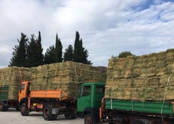 Δήλωση στοιχείων παραγωγής και διακίνησης ζωοτροφών