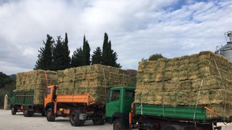 Δήλωση στοιχείων παραγωγής και διακίνησης ζωοτροφών